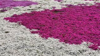 Thumbnail of post image 072