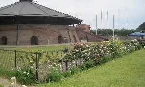 Thumbnail of post image 032