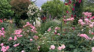 Thumbnail of post image 123