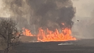 Thumbnail of post image 080