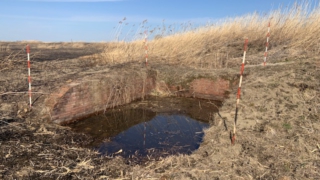 Thumbnail of post image 077