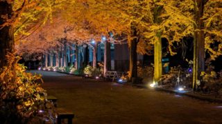 Thumbnail of post image 069