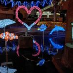 TOWN-NOGIイルミネーション2025写真コンテスト 結果発表