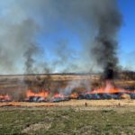 2026年のヨシ焼き